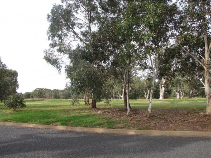 2 Young Boulevard, Paralowie SA 5108