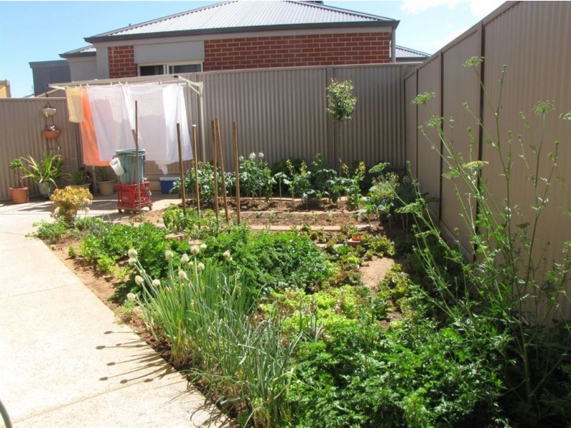 64 Cardigan Street, Angle Park SA 5010