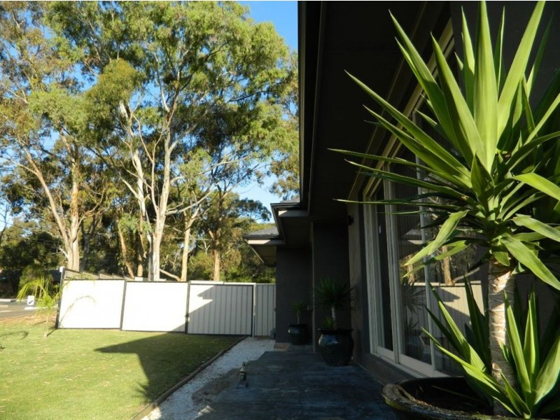 35 Steventon Drive, Banksia Park SA 5091