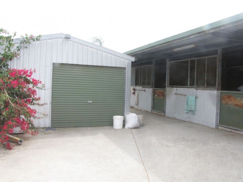 8 Ellis Street, Morphettville SA 5043