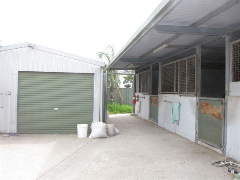 8 Ellis Street, Morphettville SA 5043