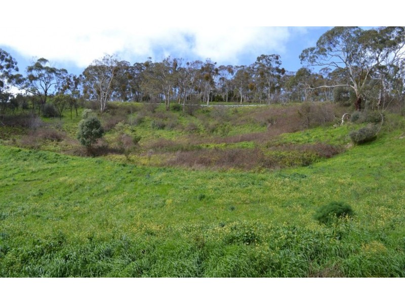 115 Old Norton Summit Road, Norton Summit SA 5136