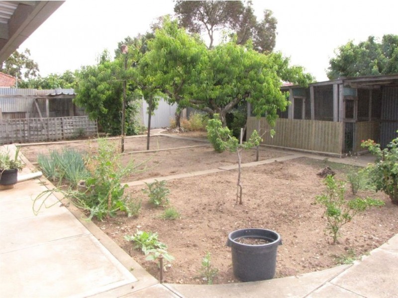 37 Gliddon Street, Rosewater SA 5013