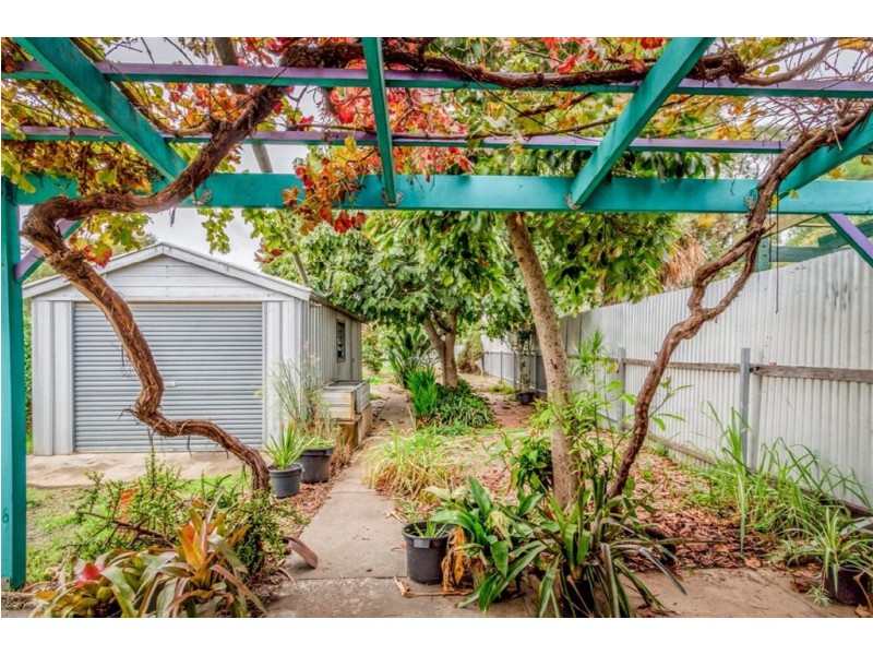 17 Barham Street, Allenby Gardens SA 5009