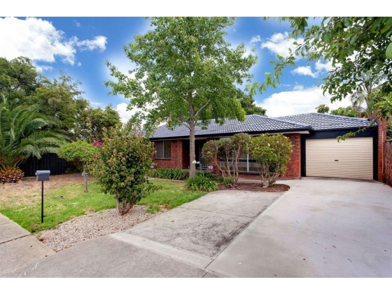 3 Ellen street, Athelstone SA 5076