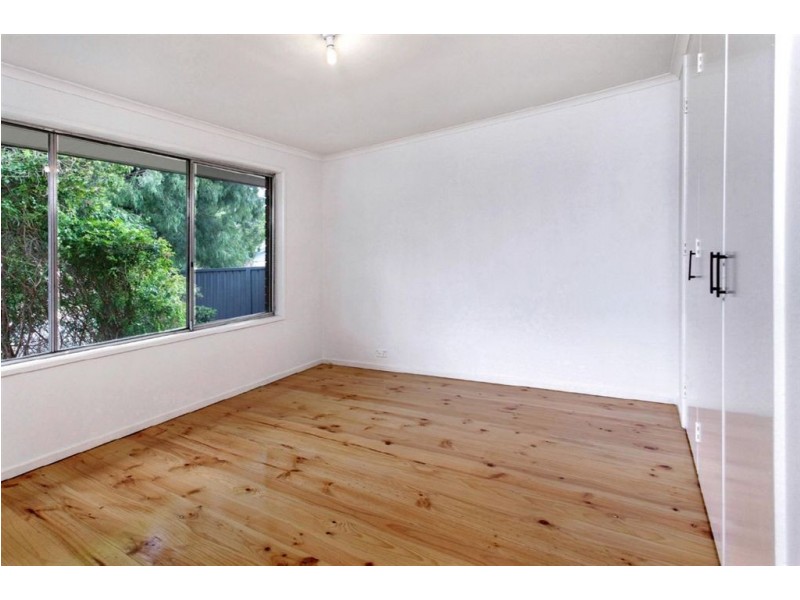 3 Ellen street, Athelstone SA 5076