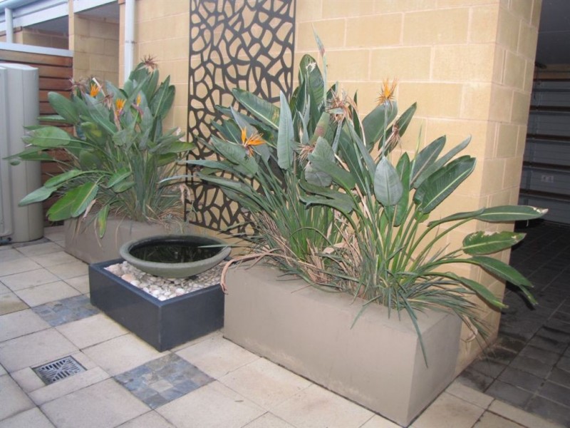 16 Tarni Court, New Port SA 5015