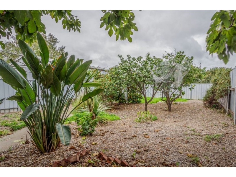 17 Barham Street, Allenby Gardens SA 5009