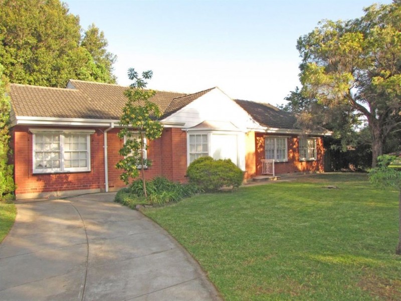 49 Clifford Street, Brooklyn Park SA 5032