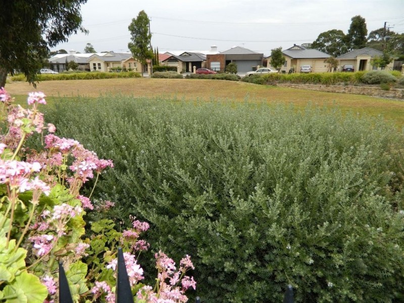 3/9 Angle Road, Angle Park SA 5010