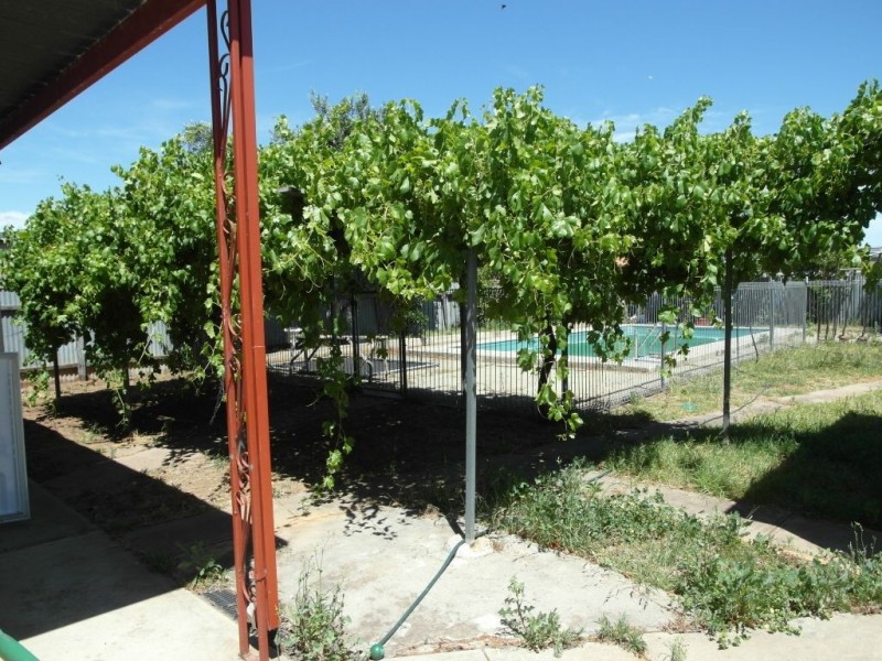 37 Annette Street, Athol Park SA 5012