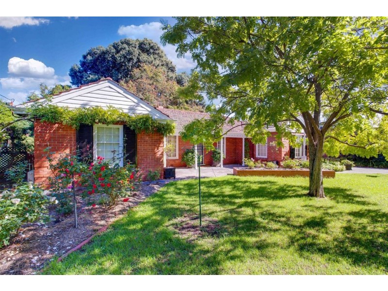 6 Torrens Avenue, Lockleys SA 5032