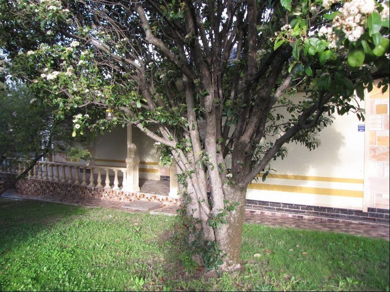 3 Newcombe Drive, Gilles Plains SA 5086