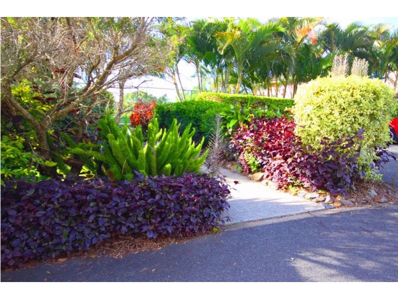 39/402 Pine Ridge Road, Coombabah QLD 4216