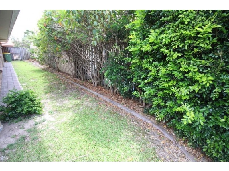 75 Numbat, Coombabah QLD 4216