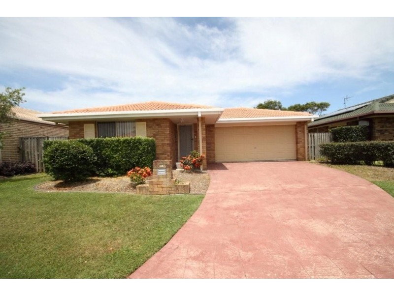 75 numbat, Coombabah QLD 4216