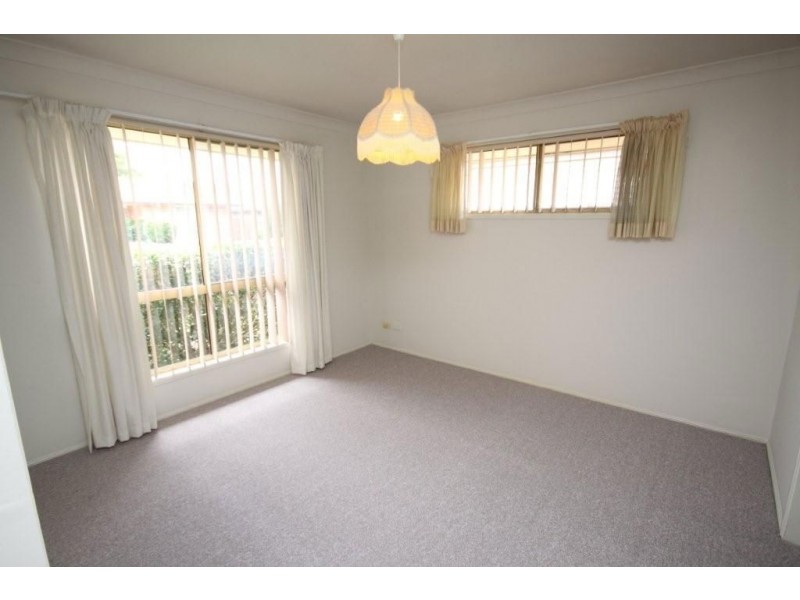 75 numbat, Coombabah QLD 4216