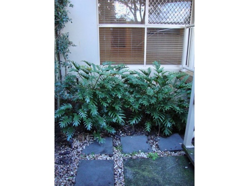 2/52 Bayview, Runaway Bay QLD 4216