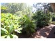 1/84 Kangaroo Avenue, Coombabah QLD 4216