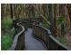 2404 Island Street Couran Cove, South Stradbroke QLD 4216
