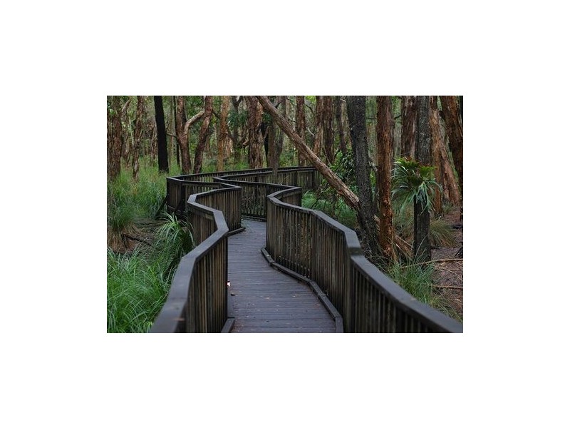 2404 Island Street Couran Cove, South Stradbroke QLD 4216