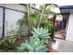 5 Namatjira Street, Paradise Point QLD 4216