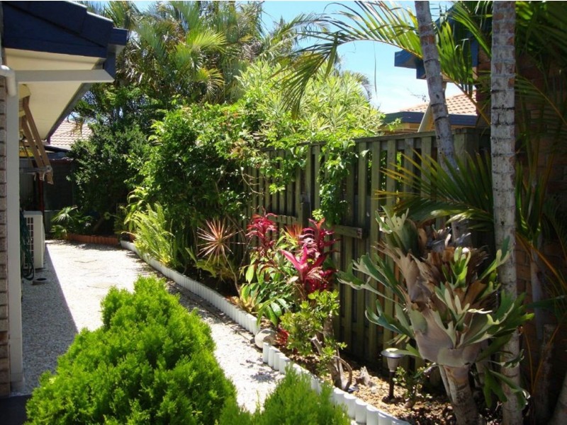 27 Numbat  Court West, Coombabah QLD 4216