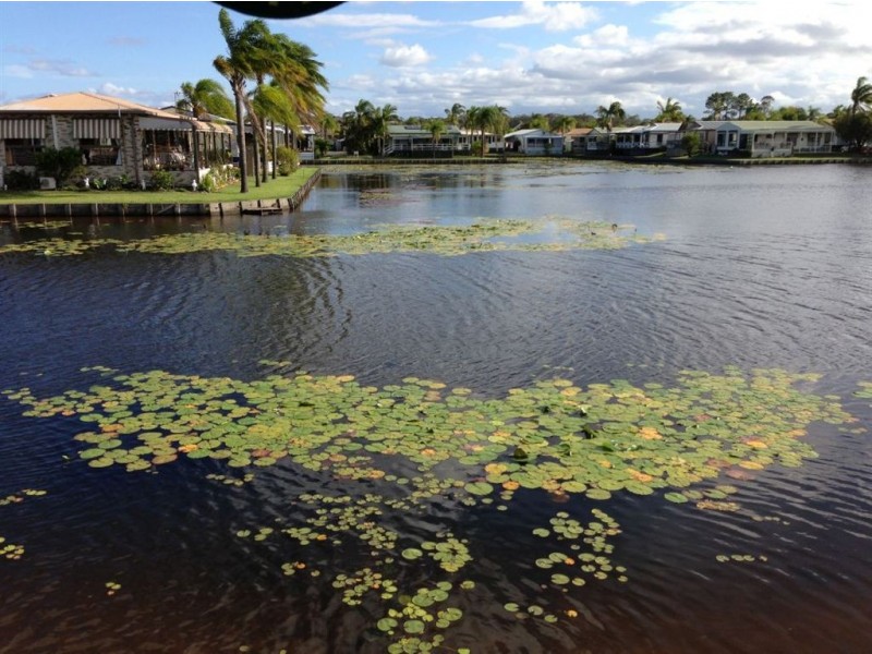 146/316 Oxley Drive, Coombabah QLD 4216