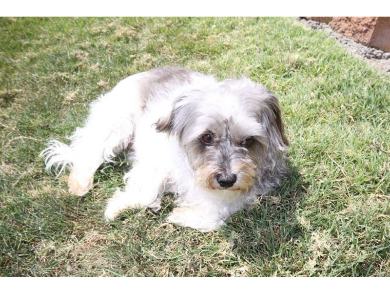 36/15 Monet Street, Coombabah QLD 4216