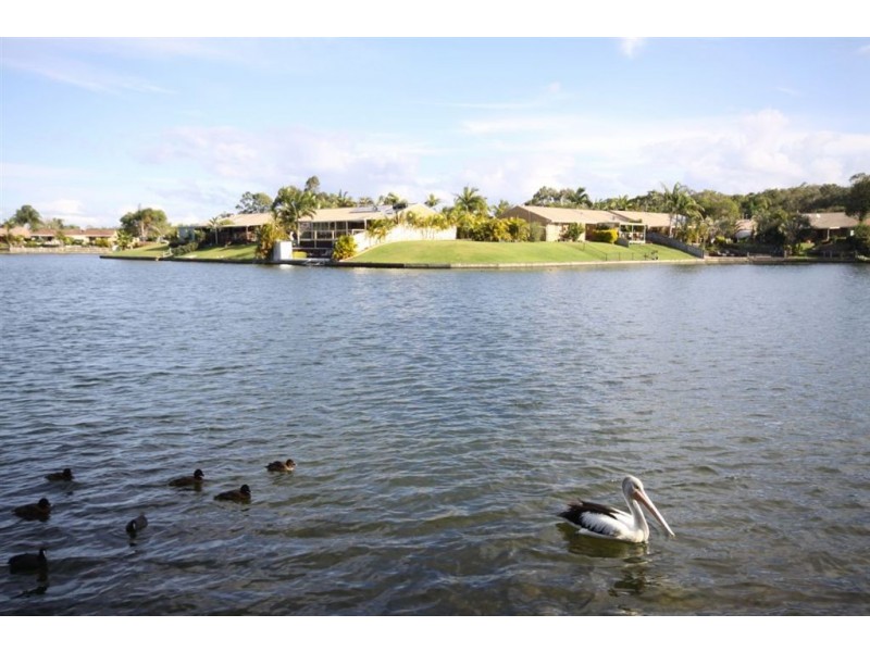 2/26 Marsupial Drive, Coombabah QLD 4216