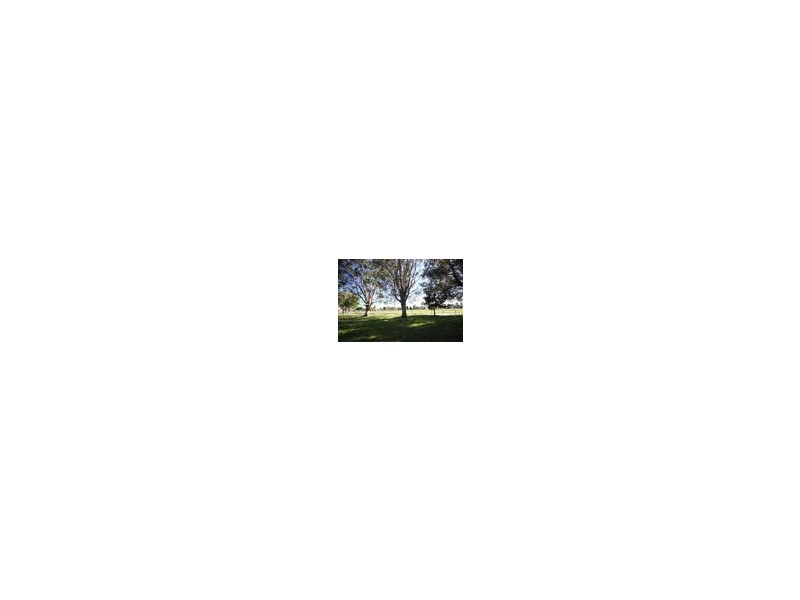 24 Bruce Avenue, Paradise Point QLD 4216