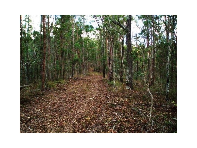 258 Aitcheson Road, Samford QLD 4520