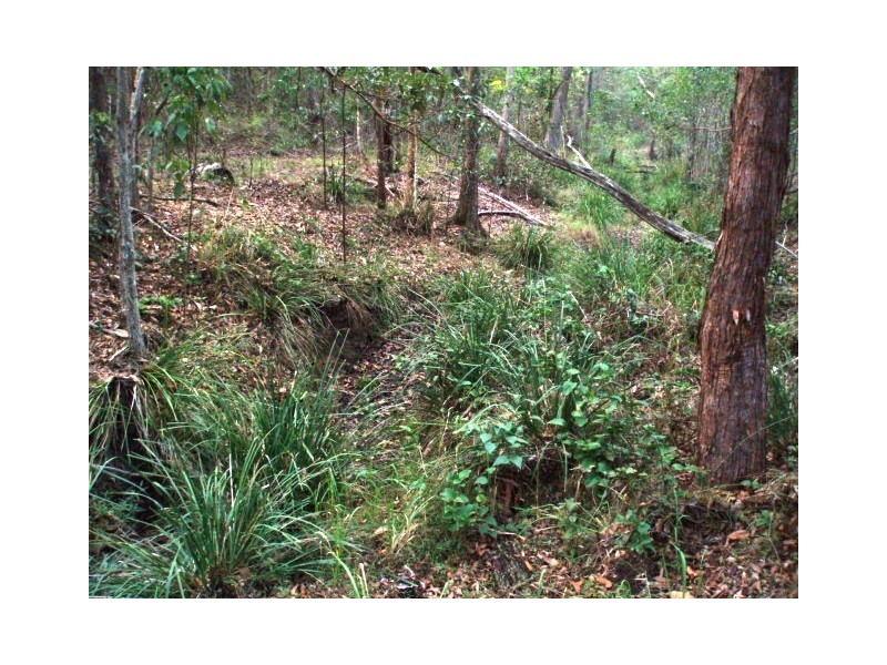 258 Aitcheson Road, Samford QLD 4520