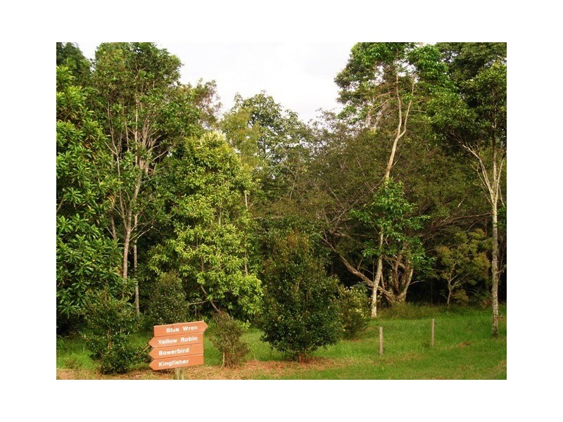 Mount Glorious QLD 4520