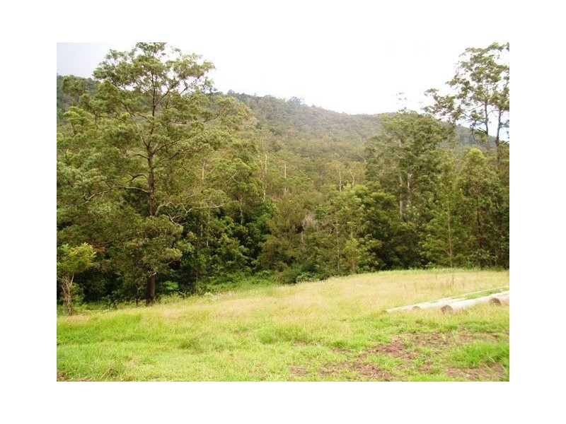 Lot 25 SP 183442 Massey Creek Court, Cedar Creek QLD 4520