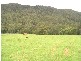 Lot 27 SP183442 Massey Creek Court, Cedar Creek QLD 4520