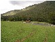 Lot 27 SP183442 Massey Creek Court, Cedar Creek QLD 4520