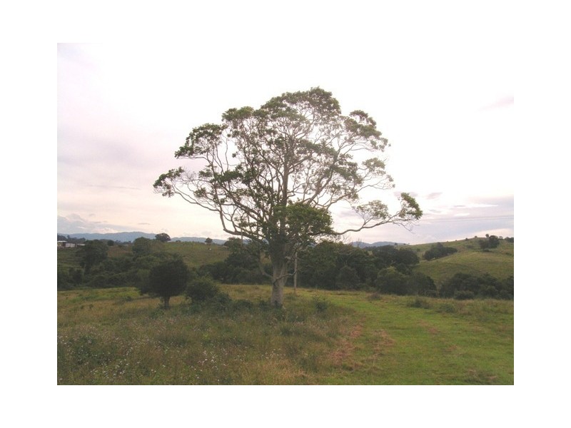 3336 Mt Mee Road, Dayboro QLD 4521