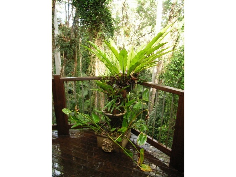 Mount Glorious QLD 4520