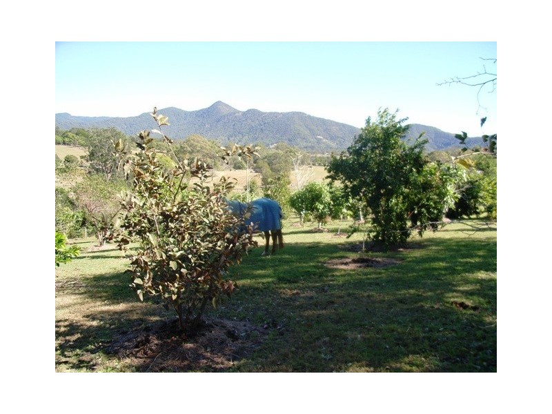 48 Kundes Rd Mt Samson, Samford QLD 4520