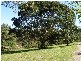 3 Herron Road, Samford QLD 4520