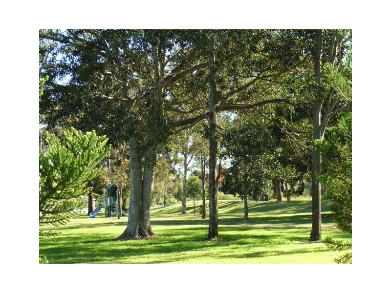 41 Corbett Street, Enoggera QLD 4051