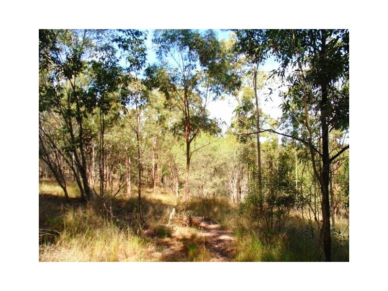 7 Christine Drive, Eatons Hill QLD 4037