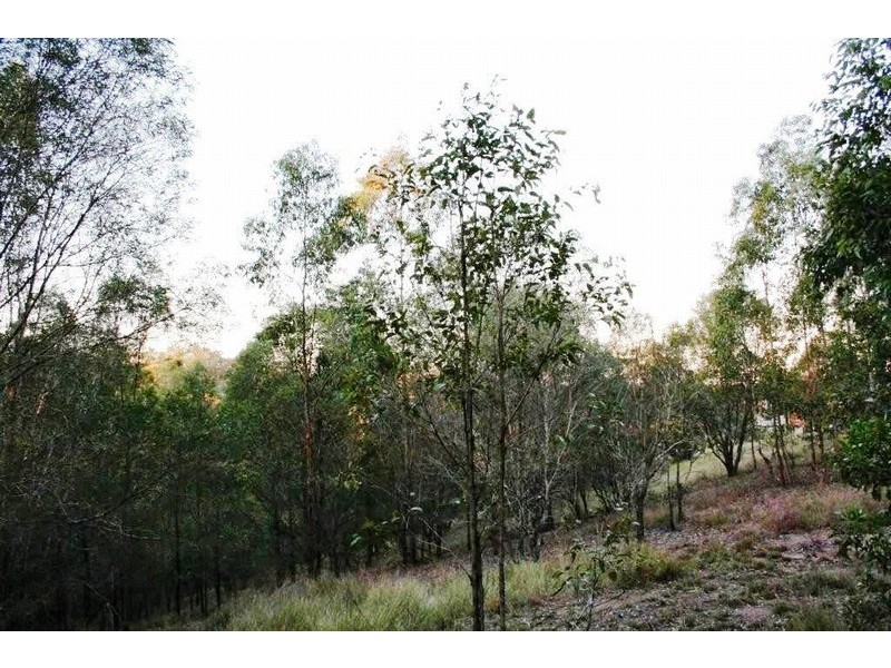 7 Christine Drive, Eatons Hill QLD 4037