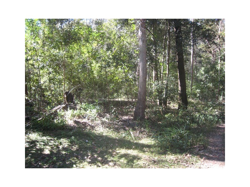 24 Forest Road, Cashmere QLD 4500