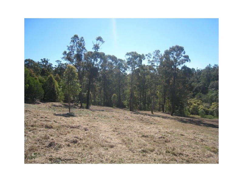 24 Forest Road, Cashmere QLD 4500