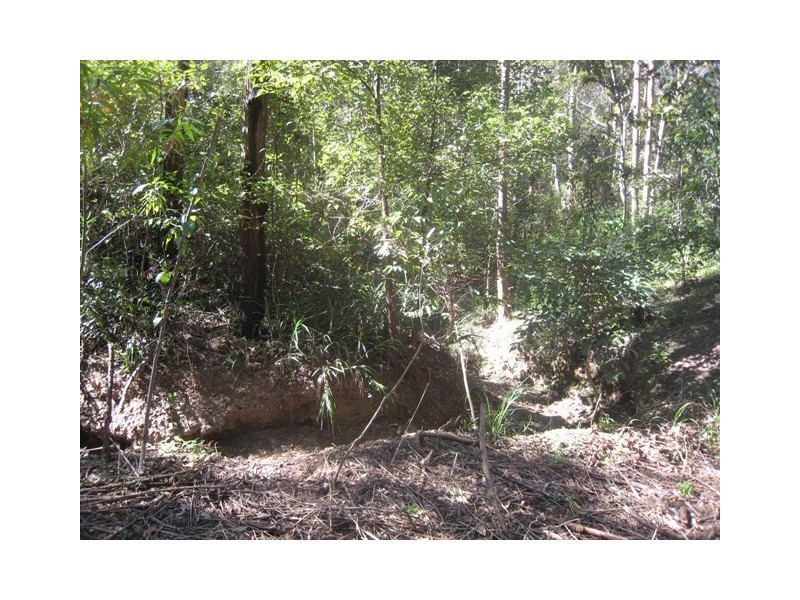 24 Forest Road, Cashmere QLD 4500