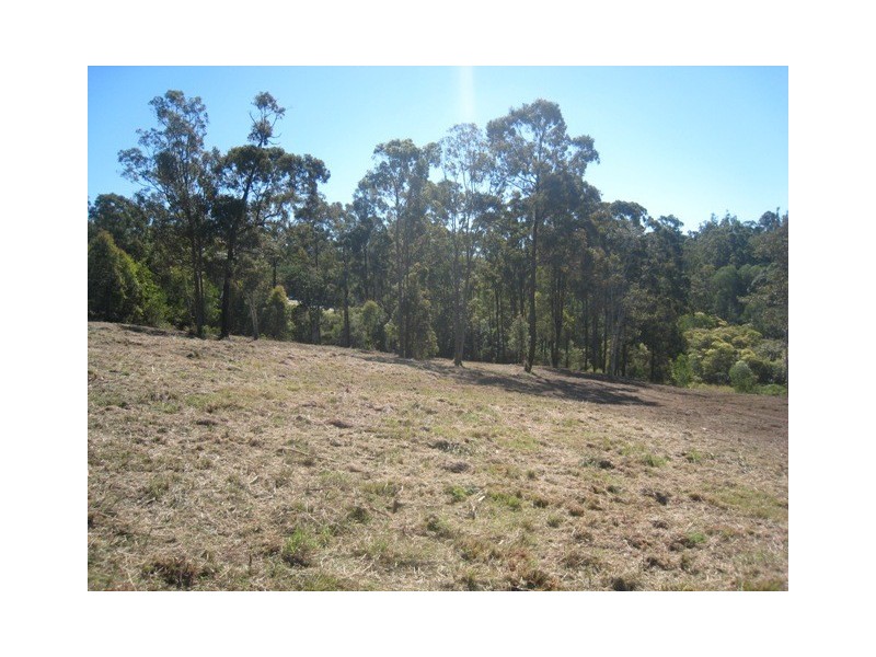 24 Forest Road, Cashmere QLD 4500