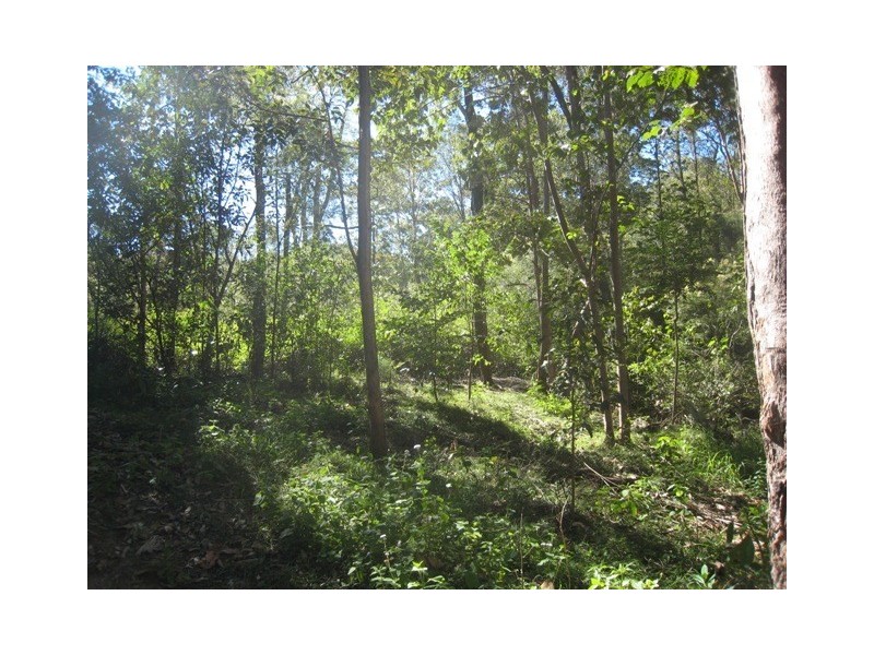 24 Forest Road, Cashmere QLD 4500