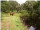 1980 Mount Samson rd, Samford QLD 4520